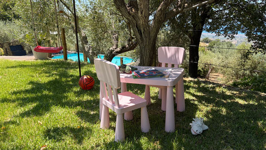 Shaded children’s play area with a small table, chairs, books, toys, a ball and swing beneath olive trees near the private pool at Tenute Lomasi.