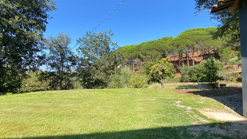 Spacious private lawn surrounded by olive trees, woodland and Mediterranean pines at Tenute Lomasi.