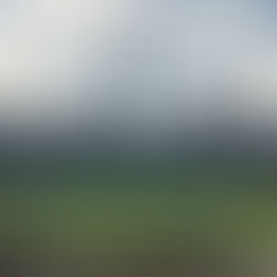 COMO É O BAR DENTRO DO ESTÁDIO MAIS HISTÓRICO DA AMÉRICA LATINA