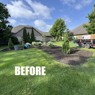 mulch bed before