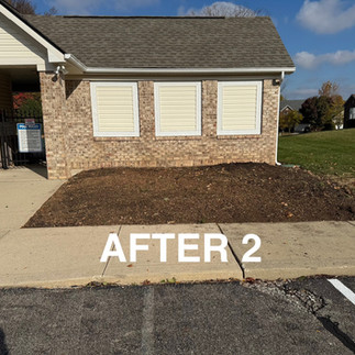 Carmel HOA Shrub Removal After Photo 2
