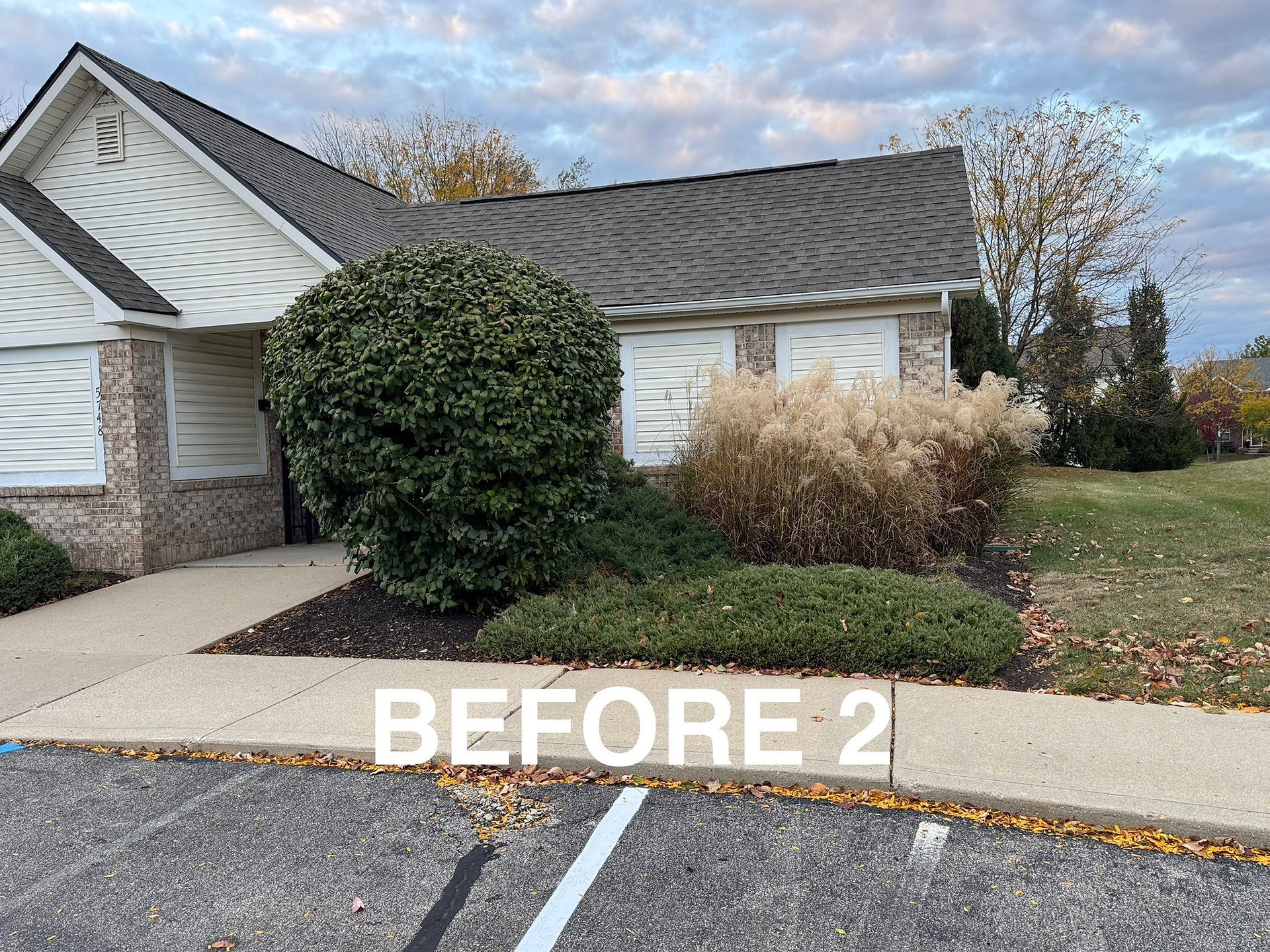 Carmel HOA Shrub Removal After Photo 2