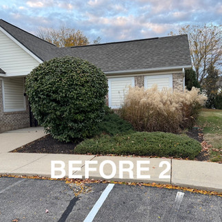 Carmel HOA Shrub Removal After Photo 2