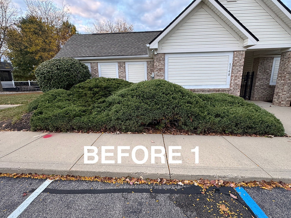 Transforming Green Spaces: A Successful Shrub Removal Project for Carmel, Indiana HOA