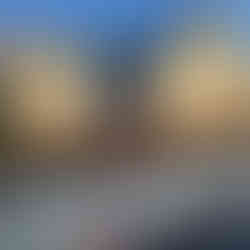 Carmel HOA Shrub Removal After Photo 2