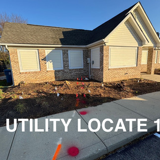 Carmel HOA Shrub Removal After Photo 2