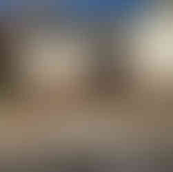 Carmel HOA Shrub Removal After Photo 2