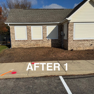 Carmel HOA Shrub Removal After Photo 2