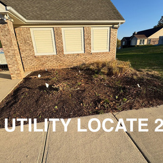 Carmel HOA Shrub Removal After Photo 2