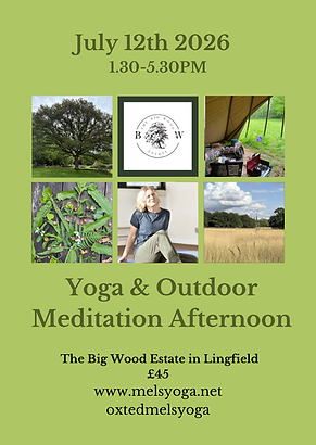 Yoga & Woodland meditation (2).png