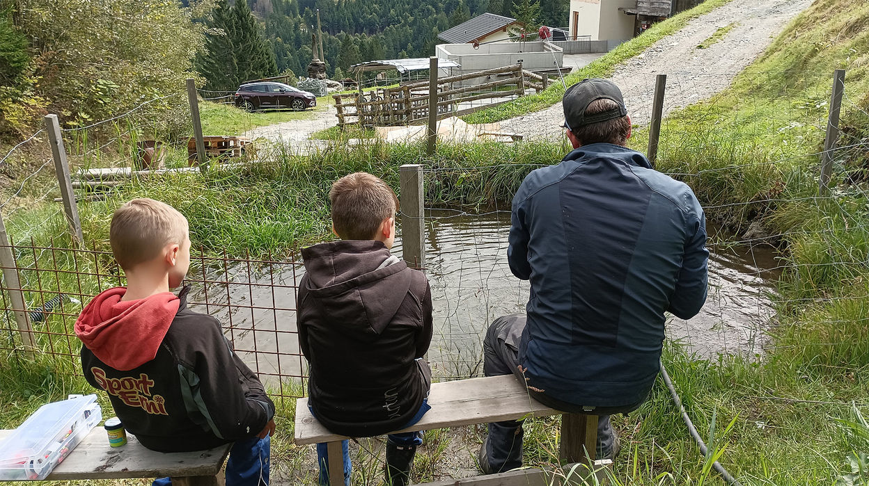 Fischen am Teich