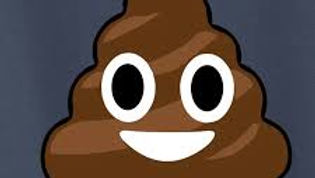 Poop Scoop Service ~$20