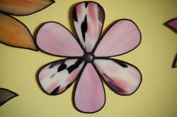 Pink/Purple/White Flower