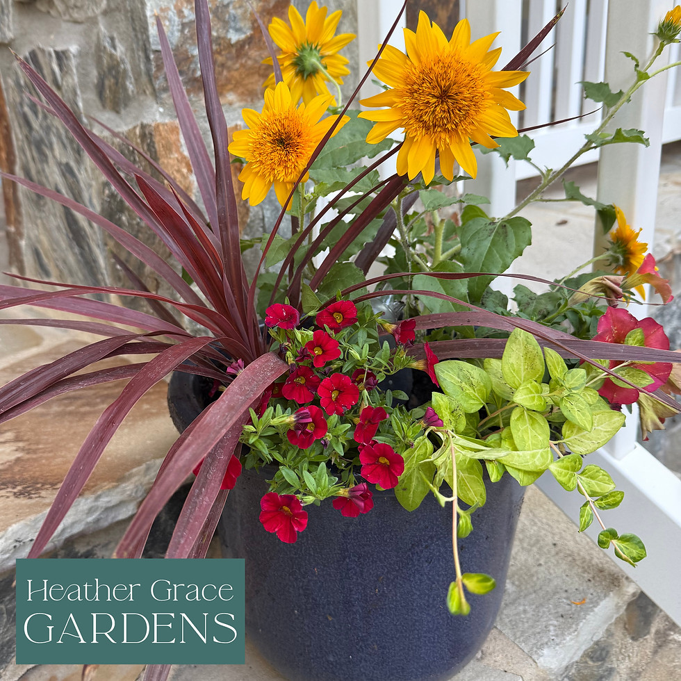 Thumbnail: Premium Flower Containers