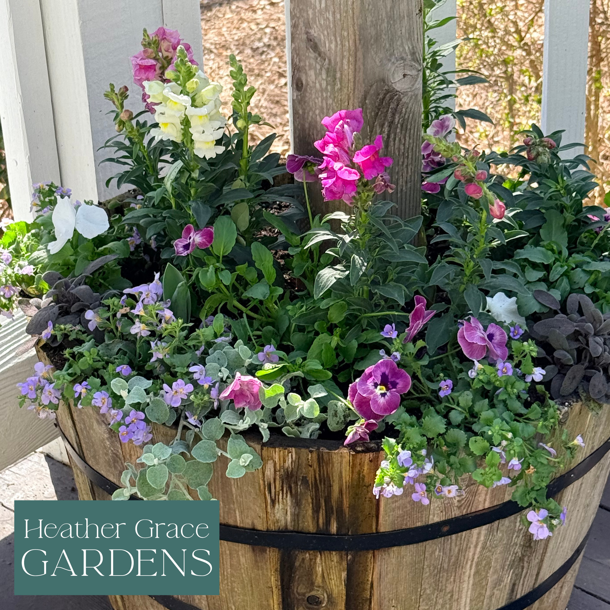 Premium Flower Containers
