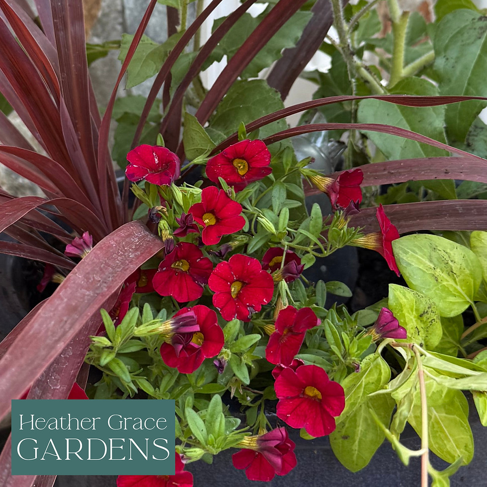 Thumbnail: Premium Flower Containers