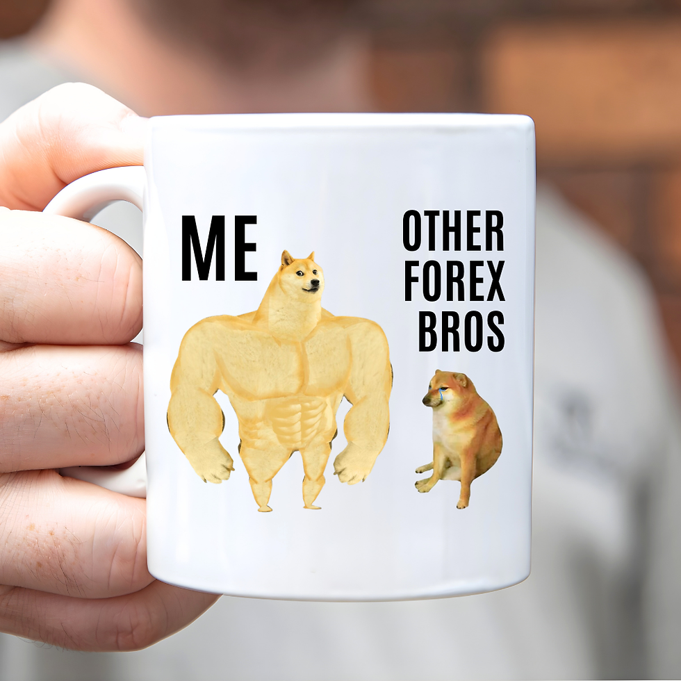 Forex Meme Mug