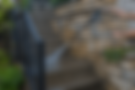 download (1).png
