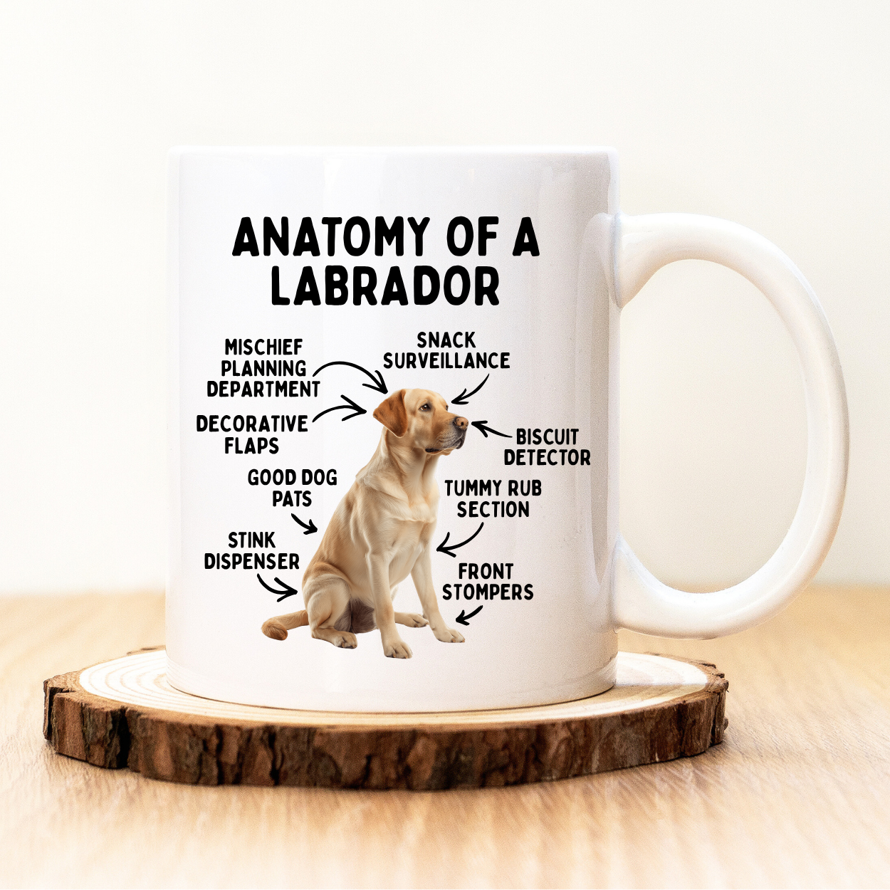 Anatomy of a Labrador Mug