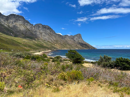 Südafrika, von Kleinbaai bis Prince Albert - Teil 2