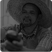 capa_plano_23.png