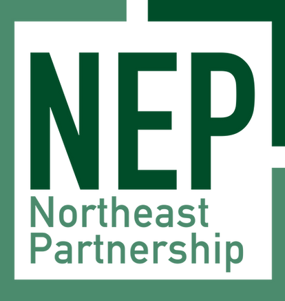 nep_box_logo.png