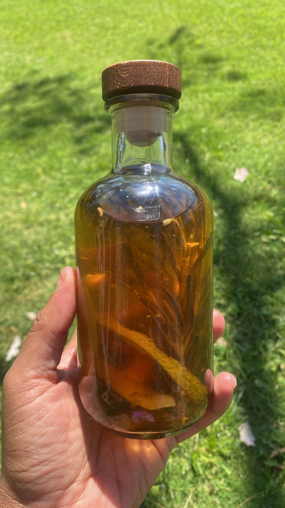 Aqua De Florida 🍊💦