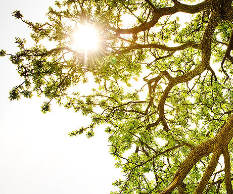 Ray of Light