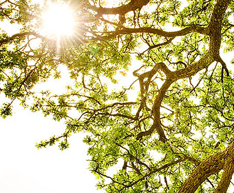 Raggio di luce