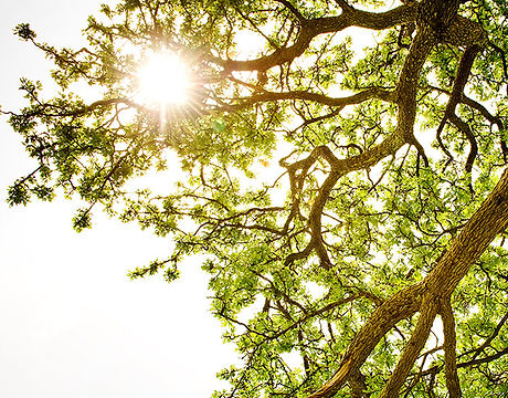 Ray of Light