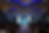 _73A2165.png