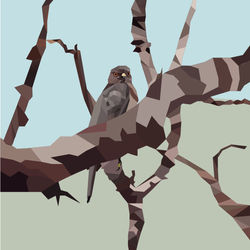 eagle