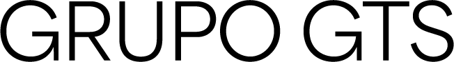 GRUPO GTS.png