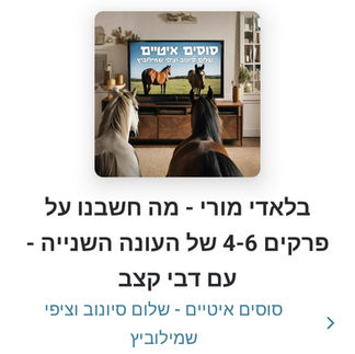 פרקים 4-6
