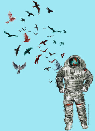 fanitsa-astronaut-birds 2 d.jpg