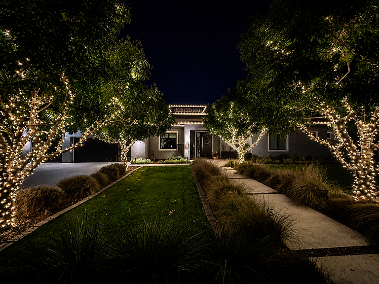 Trees wrapped with warm white Christmas lights into the canopies and roofline outlined with C9 warm white bulbs. Christmas Light Installation by Christmas Light Pros