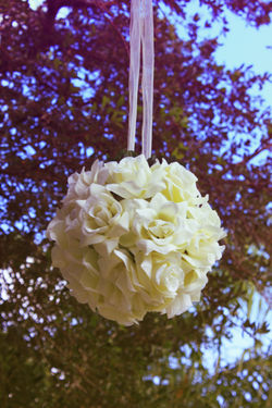 © all Rights Reserved by Greg Carter