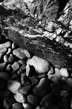 © all Rights Reserved by Greg Carter