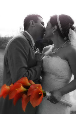 © all Rights Reserved by Greg Carter