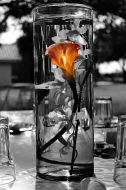 © all Rights Reserved by Greg Carter