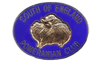 Remove background project.png