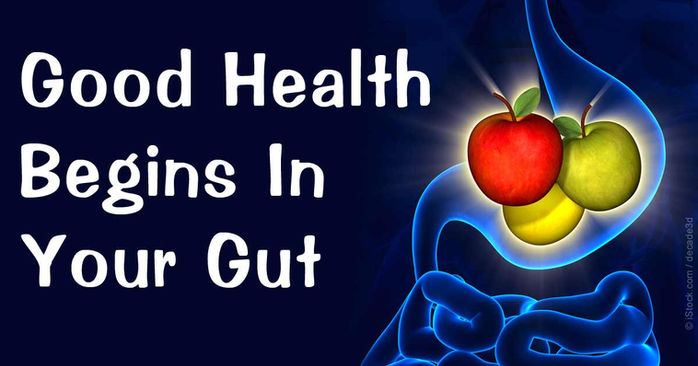 Is Your Gut Healthy?