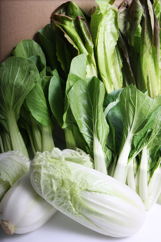 葉菜蔬菜包(6包) ~ 買十送一