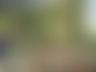 用了活性菌的水培種植