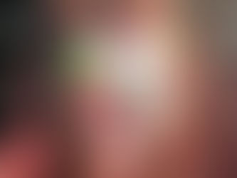 綠色農夫實體店引入外國蔬果品種