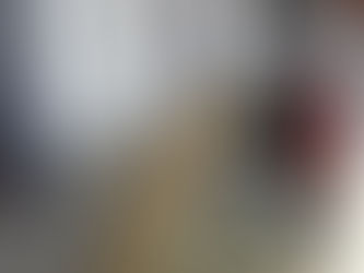 我們珍珠米田的收割情況