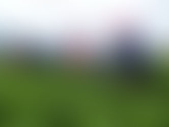 貴州農民採收豆苗情況