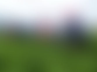 貴州農民採收豆苗情況