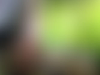 今天舖頭新鮮貨品