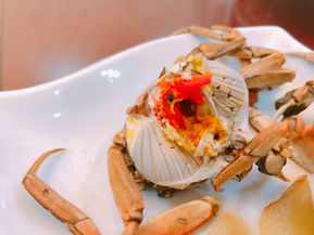 我們的大閘蟹養殖場